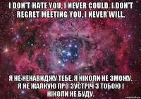 i don't hate you, i never could. i don't regret meeting you, i never will. я не ненавиджу тебе, я ніколи не зможу. я не жалкую про зустріч з тобою і ніколи не буду.