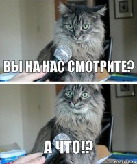 Вы на нас смотрите? А что!?