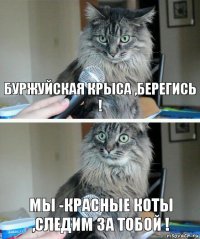 буржуйская крыса ,берегись ! Мы -красные коты ,следим за тобой !