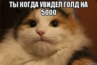 ты когда увидел голд на 5000 