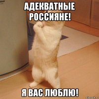 адекватные россияне! я вас люблю!