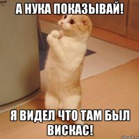 а нука показывай! я видел что там был вискас!