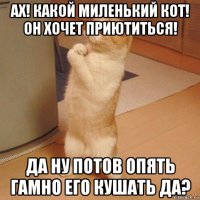 ах! какой миленький кот! он хочет приютиться! да ну потов опять гамно его кушать да?