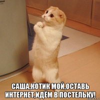  саша,котик мой,оставь интернет,идём в постельку!