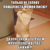 только не голову пожалуйста можно писю? да конечно мы отрубем мяууу попали в глаз? бижим!!!