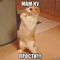 мам ну прости!!!