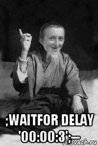  ;waitfor delay '00:00:3';--