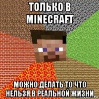 только в minecraft можно делать то что нельзя в реальной жизни