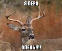 я лера олень!!!!