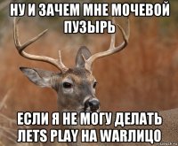 ну и зачем мне мочевой пузырь если я не могу делать лets play на warлицо