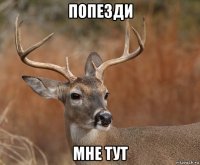 попезди мне тут