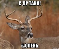 с др таня! ©олень