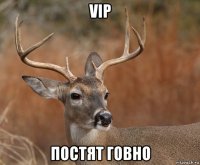 vip постят говно