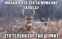 милая а что это за мужские голоса? это телевизор так шумит