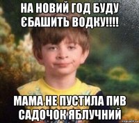 на новий год буду єбашить водку!!!! мама не пустила пив садочок яблучний