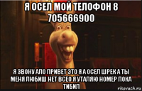 я осел мой телофон 8 705666900 я звону ало привет это я а осел шрек а ты меня любиш нет всео я уталяю номер пока тибил