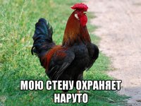  мою стену охраняет наруто