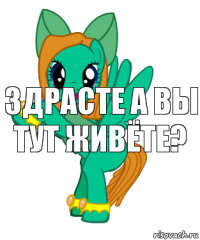 Здрасте а вы тут живёте?