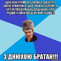 щоб коні грому не боялись, дівчата з зуя не зривались, щоб зуби не боліли, і в хаті не пизділи,щоб дощ ішов,і хліб родив, а хуй в пизді як вуж ходив!!! з днюхою братан!!!