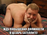  жду повышения должности в цезарь сателлите!