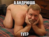 а андрюша тут?