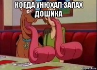 когда унюхал запах дошика 