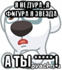 я не дура , я фигура я звезда а ты ***** !