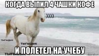 когда выпил 4 чашки кофе и полетел на учебу