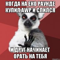 когда на еко раунде купил awp и слился и друг начинает орать на тебя