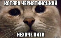 котяра чернятинський нехоче пити