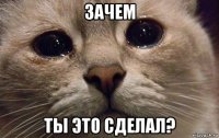 зачем ты это сделал?