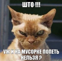 Што !!! Уж и на мусорке попеть нельзя ?