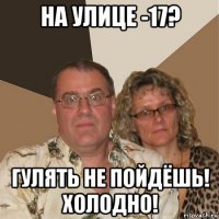 на улице -17? гулять не пойдёшь! холодно!