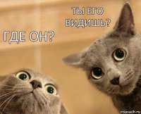 Где он? Ты его видишь?