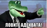  ловите адеквата!