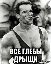  все глебы дрыщи