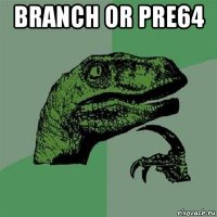 branch or pre64 