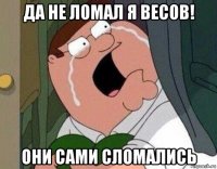 да не ломал я весов! они сами сломались