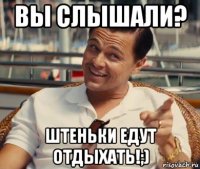 вы слышали? штеньки едут отдыхать!;)