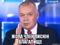  жопа член писюн влагалище