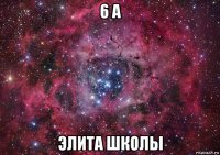 6 а элита школы