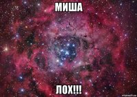 миша лох!!!