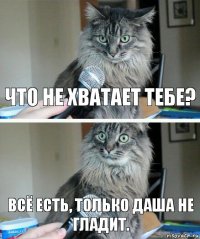 Что не хватает тебе? Всё есть, только Даша не гладит.