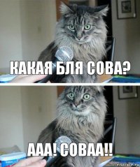 какая бля сова? ааа! соваа!!