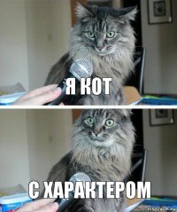 Я кот С характером