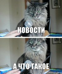 новости а что такое