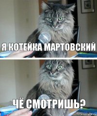 Я котейка мартовский Чё смотришь?