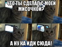 что ты сделал с моей мисочкой? а ну ка иди сюда!