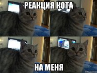 реакция кота на меня