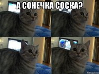 а сонечка соска? 